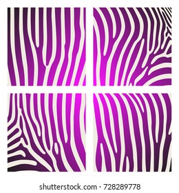 Set of animal pattern. Imitation print of skin of zebra. Black purple stripes on white background.