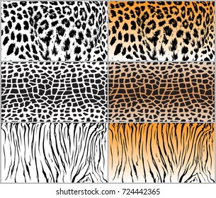 set animal pattern texture giraffe cow leopard tiger stripe orange white black jungle safari print