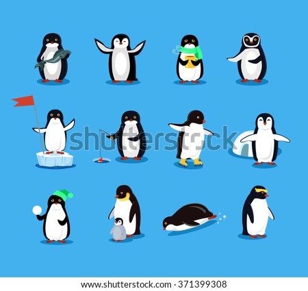 Set of animal penguin design flat illustration