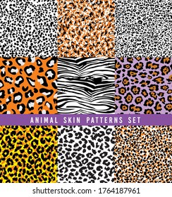 set of animal print vector patterns