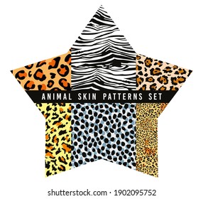 set of animal print vector patterns