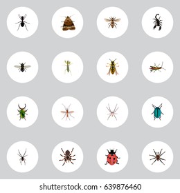 Set Of Animal Realistic Symbols Also Includes Scorpion, Wasp, Insect Objects.