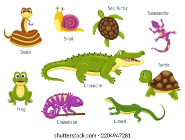 Set Animal Reptile Template Hand Drawn Cartoon Flat Illustration and Various Types Reptiles Animals Concept