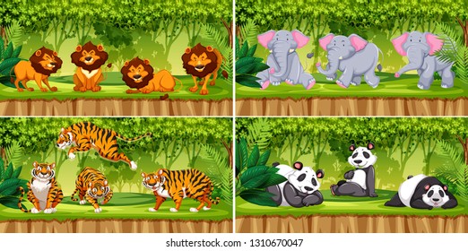 Set of animal scenes illustration