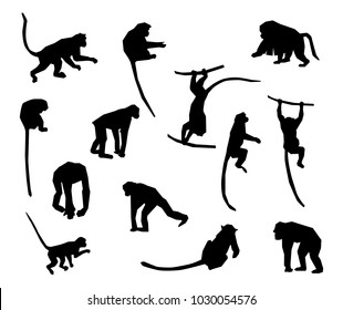 A set of animal silhouettes. Ape and Monkey collection - vector silhouette.