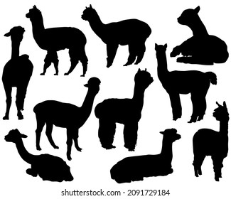 Set of animal silhouettes in black. Set of alpaca flat icons isolated on a white background.