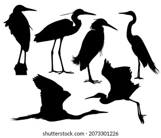 Set of animal silhouettes in black. Set of egret flat icons isolated on a white background.