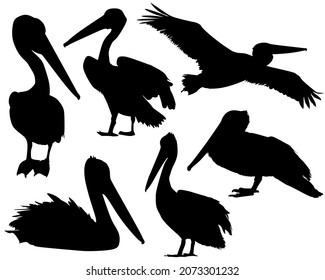 Conjunto de siluetas animales en negro. Conjunto de íconos planos pelícanos aislados en un fondo blanco.