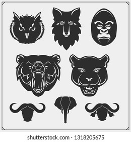 Set of animal silhouettes. Savannah, forest, jungle animals. Design template for emblems, stickers and logos.