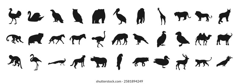 Set of animal silhouettes. Zoo. Animal silhouette