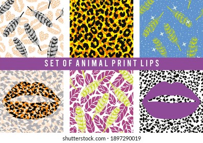 set of animal skin patterns