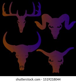 set of animal skull silhouette in color lines on white background, vector illustration, eps 10