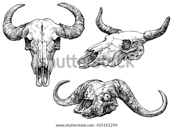 A set of animal skulls - hand drawn vector\
illustration, isolated on\
white