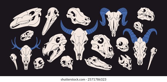 Set of animal skulls sketches. Anatomy of head skeletons of different beasts. Dead deer, lion, birds, cat, dog, horse, crocodile bones. Fauna, wildlife structure. Flat isolated vector illustrations