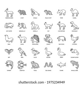 Set of animal thin line and pixel perfect icons for any web and app project. 