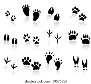 set of animal tracks black