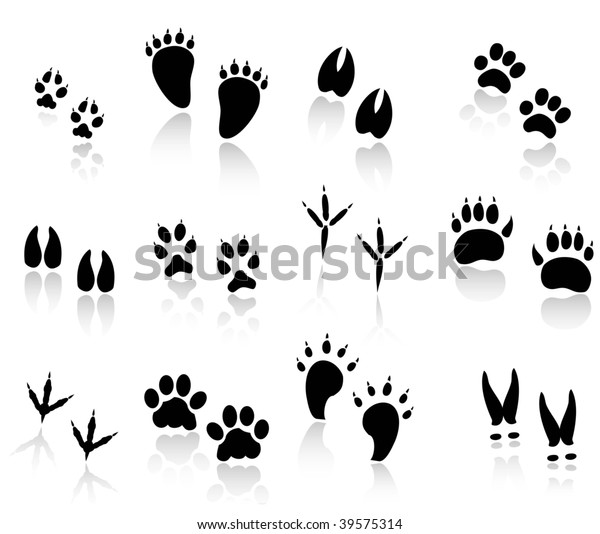 Set Animal Tracks Black Stock Vector (Royalty Free) 39575314 | Shutterstock