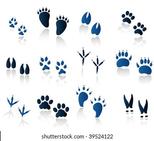 set of animal tracks blue