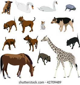 Set of animal vector illustrations. Horse, dog, giraffe, turtle, swan