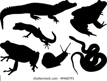 set of animals
