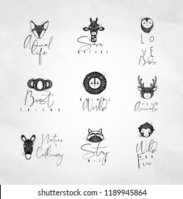 Set of animals authentic graphic signs fox, giraffe, owl, panda, lion, antelope, horse, cat, monkey with lettering drawing on dirty background