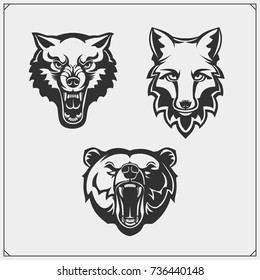 Set of animals. Bear, wolf and fox.