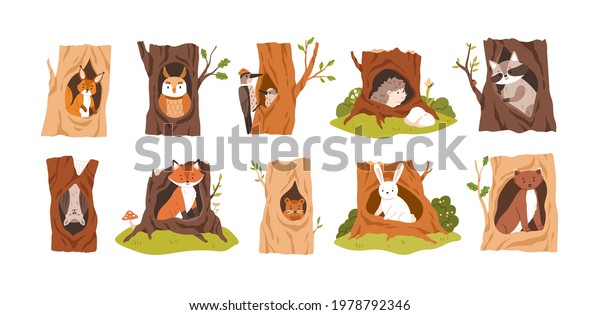 Set of animals and birds inside hollows.\
Squirrel, owl, woodpecker, hedgehog, raccoon, bat, fox, beaver,\
hare, and weasel in tree hole houses. Flat vector illustration\
isolated on white\
background