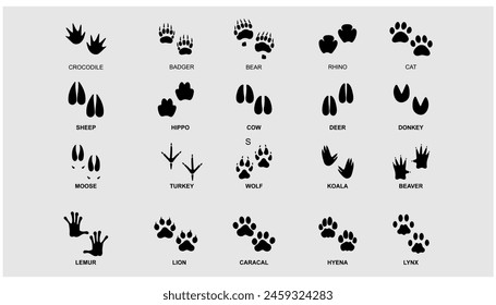 Set von Tieren und Vögeln, Trace Steps Aufdrucke Wege mit Namen Tiere Pfotenabdrücke. Cartoon-Fußabdrücke von Säugetieren	