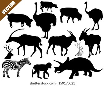 Set of animals collection on white background, vector illustration