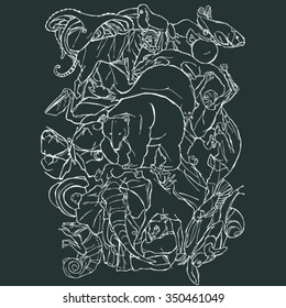 Set of animals contour