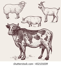 Set animals - cow, sheep, pig, goat. Vector illustration. Series - farm animals. Sketch. Vintage engraving style. Design for packaging agricultural products, signage, advertising farm products shops