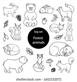 Set of animals design elements. Squirrel, hare, fox, bear, leaves, acorns, berries. Сoncept nature wildlife. Hand drawn vector illustration in doodle style outline drawing isolated on white background