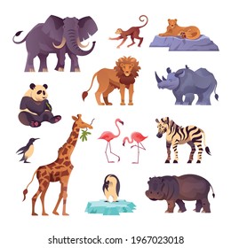 Set of animals from different continents of the planet collected in the zoo flat vector illustration