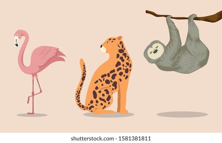 set of animals exotics tropicals vector illustration design