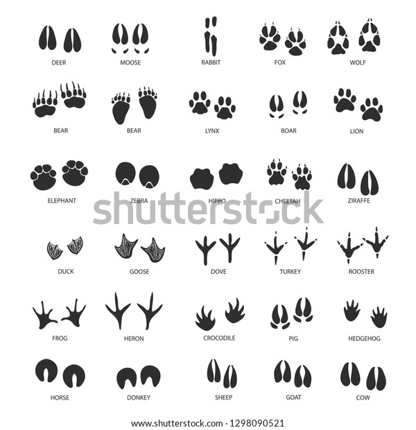 Set Animals Foot Prints Isolated On Stock Vector (Royalty Free ...