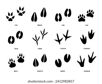 Set of animals footprint. Hand drawn various animal feet paws or footprints isolated on white background. Black silhouettes collection of animal tracks in minimal style. Vector illustration