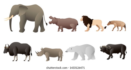 Set of animals graphic vector