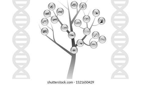 Set of animals icons vector design.  Animals icon collection. Evolution illustration