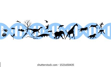 Set of animals icons vector design.  Animals icon collection. Evolution illustration