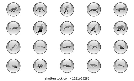 Set of animals icons vector design.  Animals icon collection. Evolution illustration