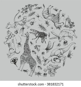 A set of animals, insects, plants, inscribed in a circle. Vector.