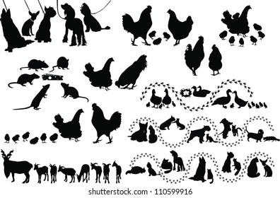 set of animals isolated on white background