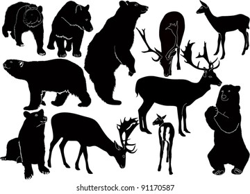 set of animals isolated on white background