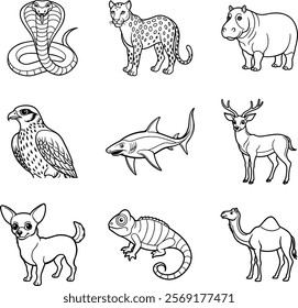 Set of animals line art vector on white background.