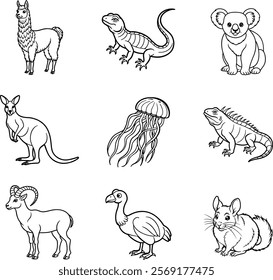 Set of animals line art vector on white background.