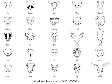 Set of animals with name