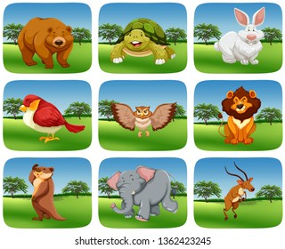 Set of animals in nature scene illustration