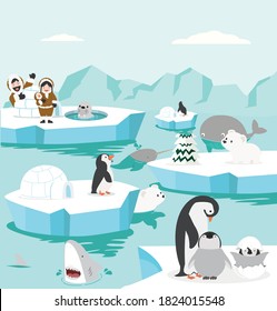 Set animals in North pole Arctic  background
