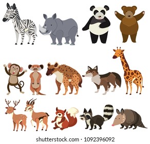 A Set of Animals on White Background illustration