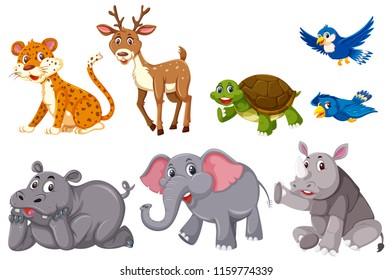 A set of animals on white background illustration